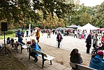 116_LAUF_Venuslauf2018