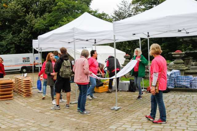 220_venuslauf2017_claudia-cruz_bremerkrebsgesellschaft