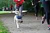 109_venuslauf2017_claudia-cruz_bremerkrebsgesellschaft
