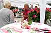 58_venuslauf2017_claudia-cruz_bremerkrebsgesellschaft