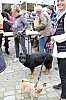 9_venuslauf2017_claudia-cruz_bremerkrebsgesellschaft